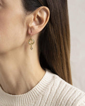 Load image into Gallery viewer, Gold Drop earrings