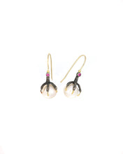 Load image into Gallery viewer, Talons  Earrings