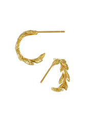 Load image into Gallery viewer, Harvest Wheat Hoop Earrings