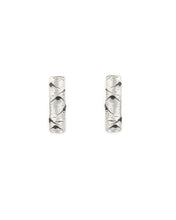 Load image into Gallery viewer, Aspen Allure Stud Earrings