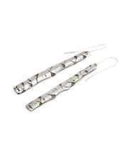 Load image into Gallery viewer, Aspen Allure Long Earrings