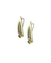 Load image into Gallery viewer, Batwing Earrings